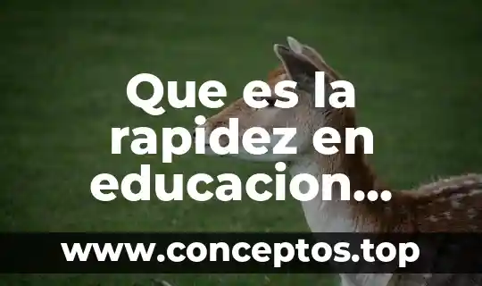 Que es la rapidez en educacion fisica