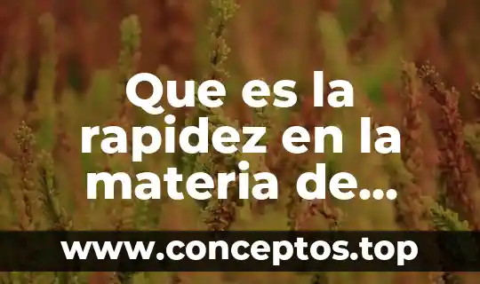 Que es la rapidez en la materia de fisica