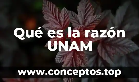 Qué es la razón UNAM