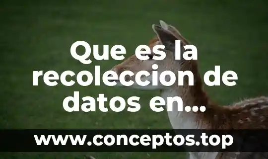 Que es la recoleccion de datos en enfermeria comunitaria