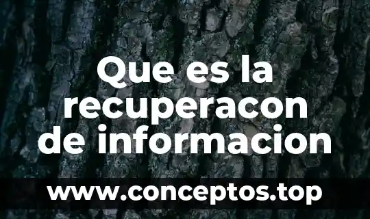 Que es la recuperacon de informacion