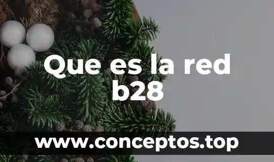 Que es la red b28
