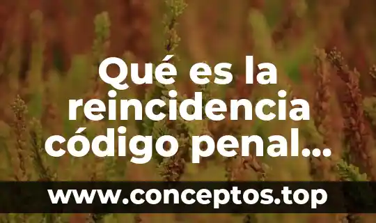 Qué es la reincidencia código penal argentino