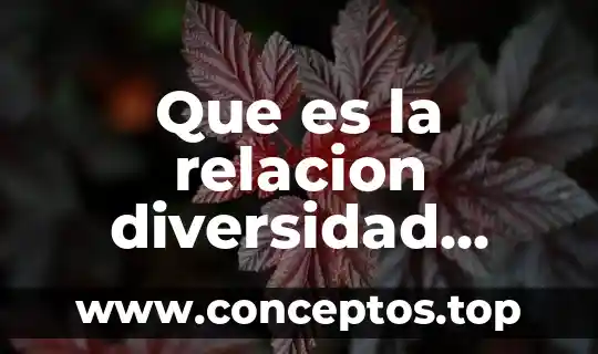 Que es la relacion diversidad analogica