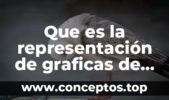 Que es la representación de graficas de algoritmo