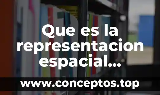 Que es una representacion de relacion proporcional 4 Que es la representacion espacial significado