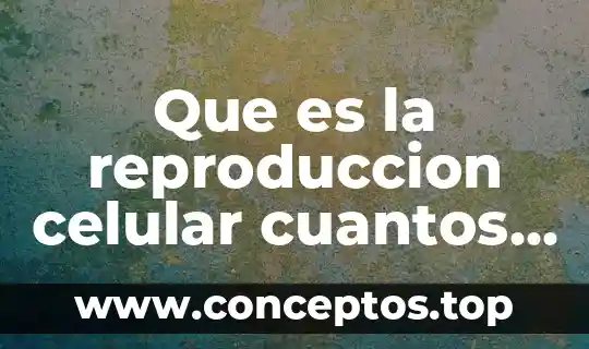 Que es la reproduccion celular cuantos y cuales tipos existen