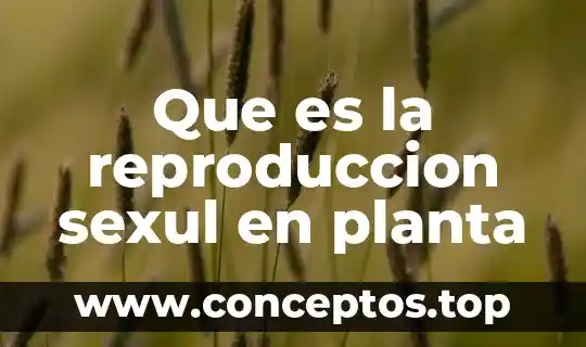 Que es la reproduccion sexul en planta
