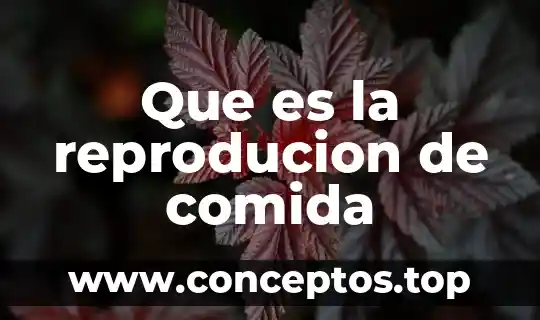 Que es la reproducion de comida