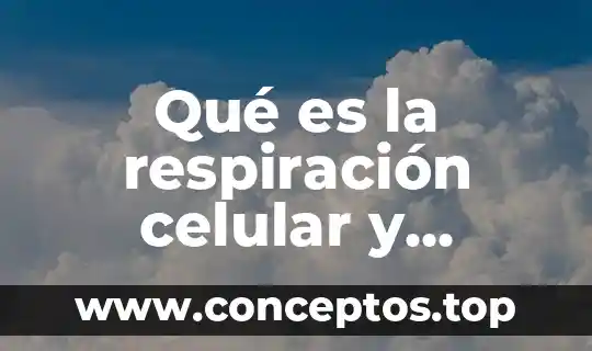 Qué es la respiración celular y cuántos tipos existen