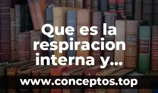 Que es la respiracion interna y externa yahoo