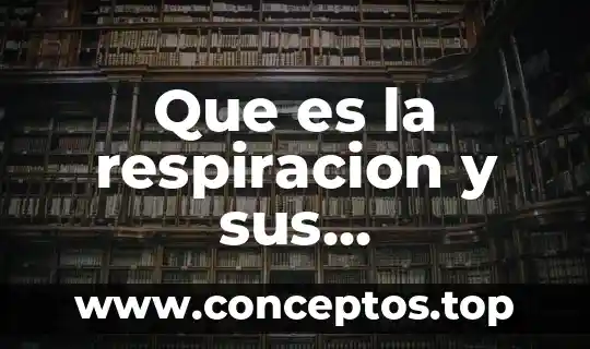 Que es un vendedor y sus caracteristicas 5 Que es la respiracion y sus caracteristicas