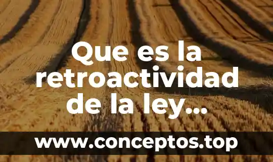 Que es infraccion de la ley 5 Que es la retroactividad de la ley ejemplos