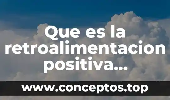 Que es la retroalimentacion positiva definicion