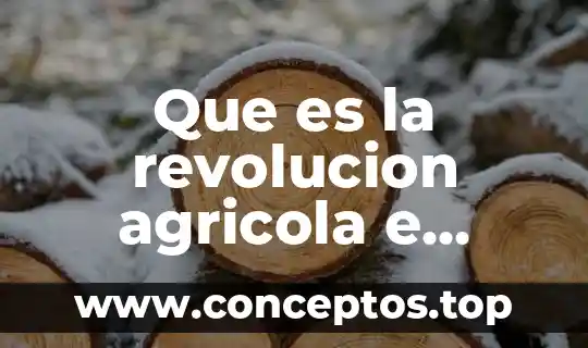 Que es la revolucion agricola e industrial