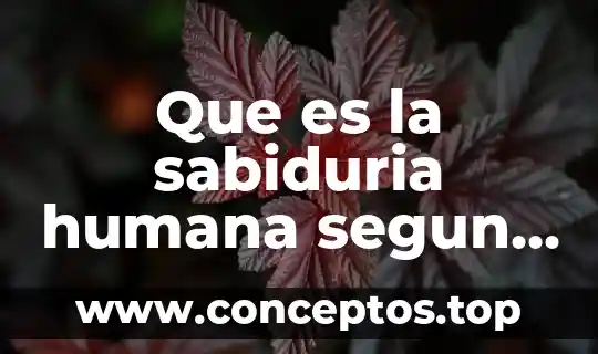 Que es el canon dela figura humana 4 Que es la sabiduria humana segun la biblia
