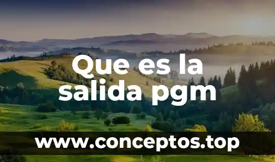 Que es la salida pgm
