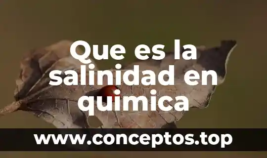Que es un signo vital y su importancia 3 Que es la salinidad en quimica