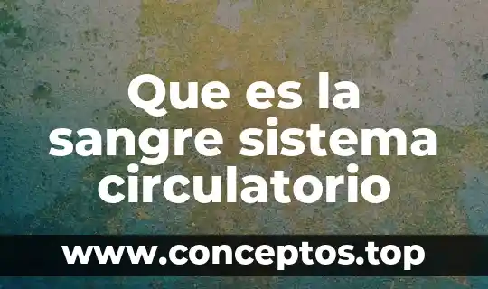 Que es la sangre sistema circulatorio