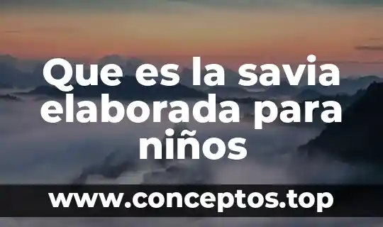 Que es la savia elaborada para niños
