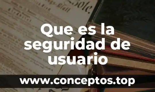 Que es la seguridad de usuario