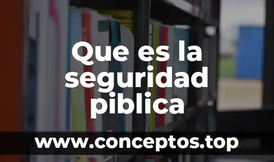 Que es la seguridad piblica