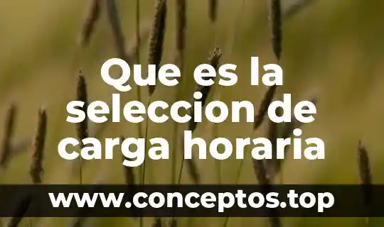 Que es la seleccion de carga horaria