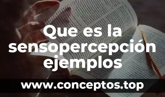 Qué es una sucesión figurativa ejemplos 3 Que es la sensopercepción ejemplos