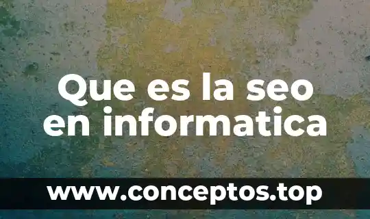 Que es la seo en informatica