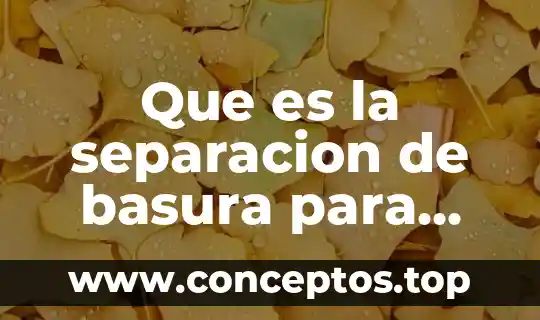 Que es la separacion de basura para niños