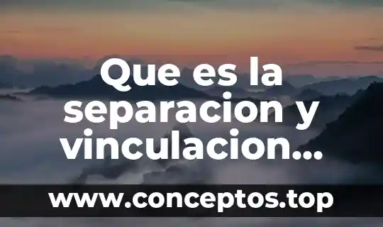 Que es la separacion y vinculacion segun milton erickson