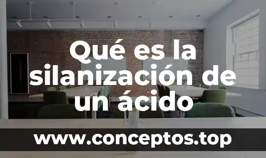 Qué es la silanización de un ácido