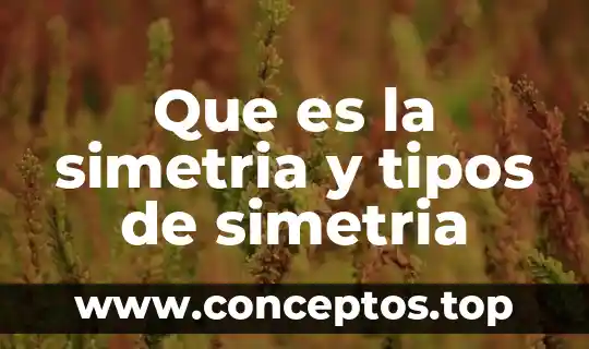 Que es la simetria y tipos de simetria