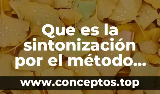 Que es la sintonización por el método heurístico