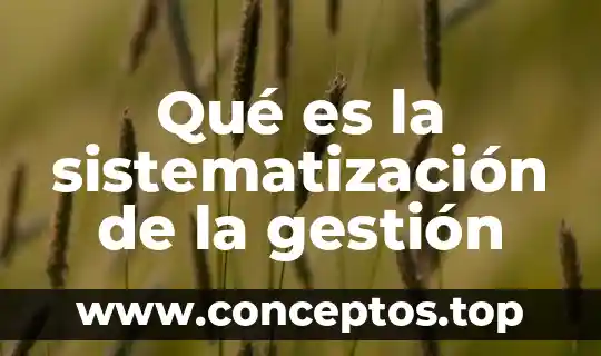 Que es un plan de gestion 3 Qué es la sistematización de la gestión