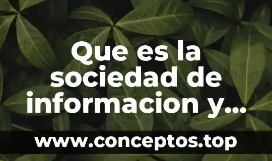 Que es el conocimiento y sus elementos basicos 6 Que es la sociedad de informacion y conocimiento