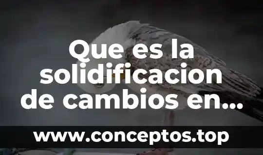 Que es la solidificacion de cambios en el agua
