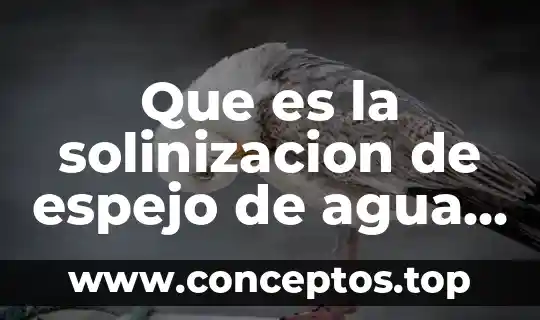 Que es la solinizacion de espejo de agua fnomeno natural