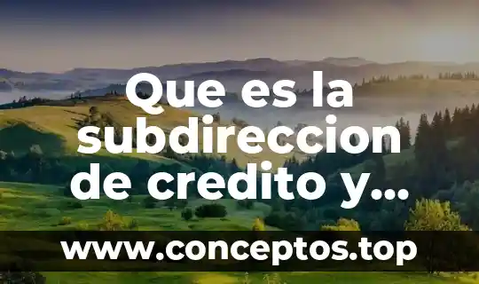 Que es la subdireccion de credito y cobranza