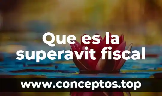 Que es el buzon fiscal 4 Que es la superavit fiscal