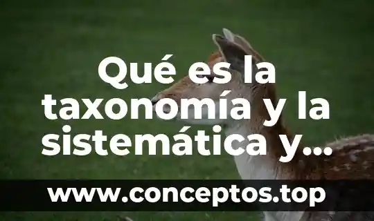 Que es teologia biblica y sistematica significado 3 Qué es la taxonomía y la sistemática y su relación