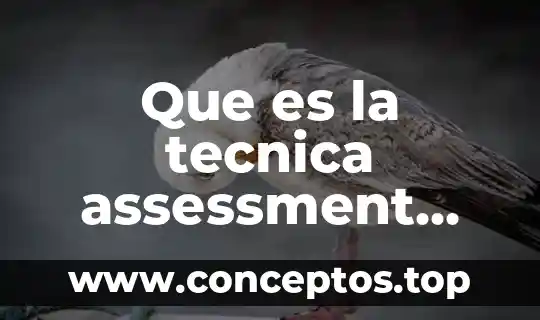 Que es la tecnica assessment center