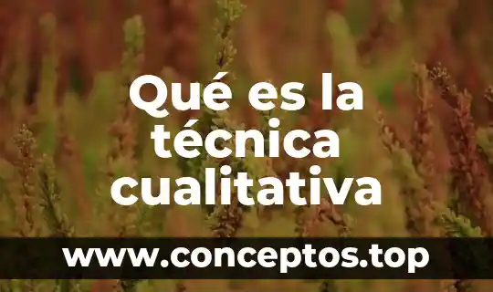 Qué es la técnica cualitativa
