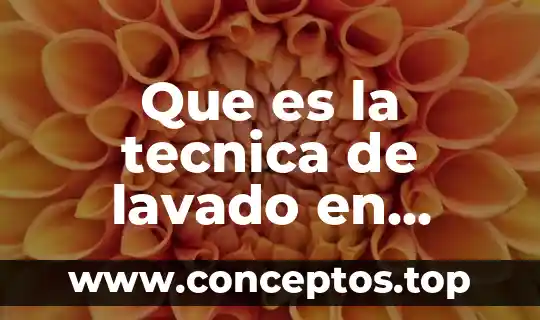 Que es la tecnica de lavado en pintura