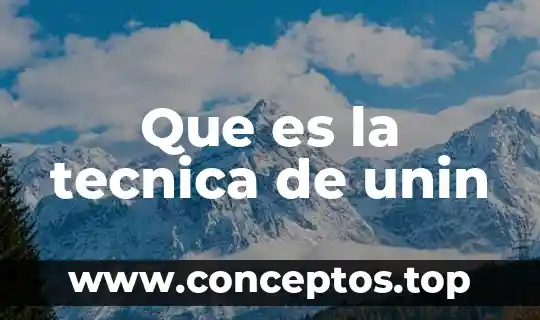 Que es la tecnica de unin
