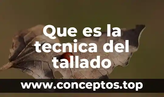 Que es represion tecnica 7 Que es la tecnica del tallado