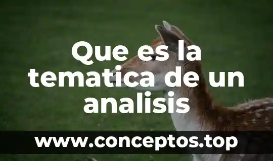 Que es la tematica de un analisis