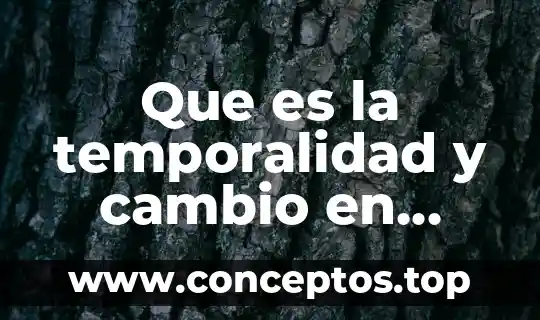 Que es la temporalidad y cambio en geografia