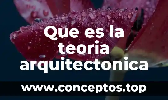 Qué es la teoría del derecho divino 6 Que es la teoria arquitectonica