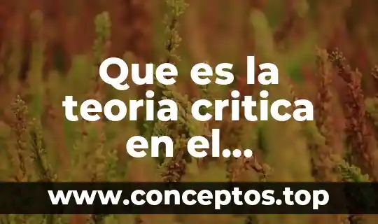 Que es la teoria critica en el crecimiento economico